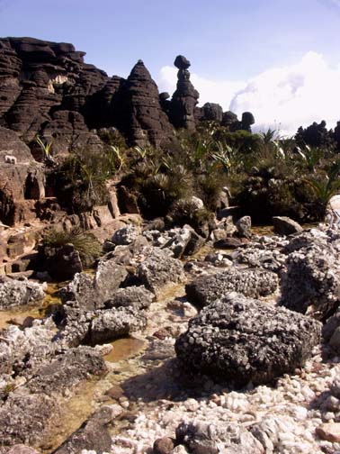 the valley of crystals on roraima in venezuela